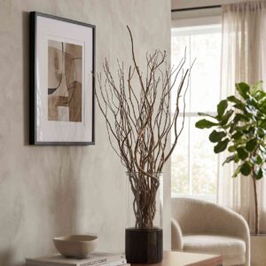 Dried Structural Branches